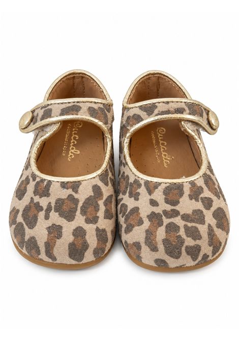 Ballerina maculata ELI 1957 | 12036PIEL VELOUR MINI LEO